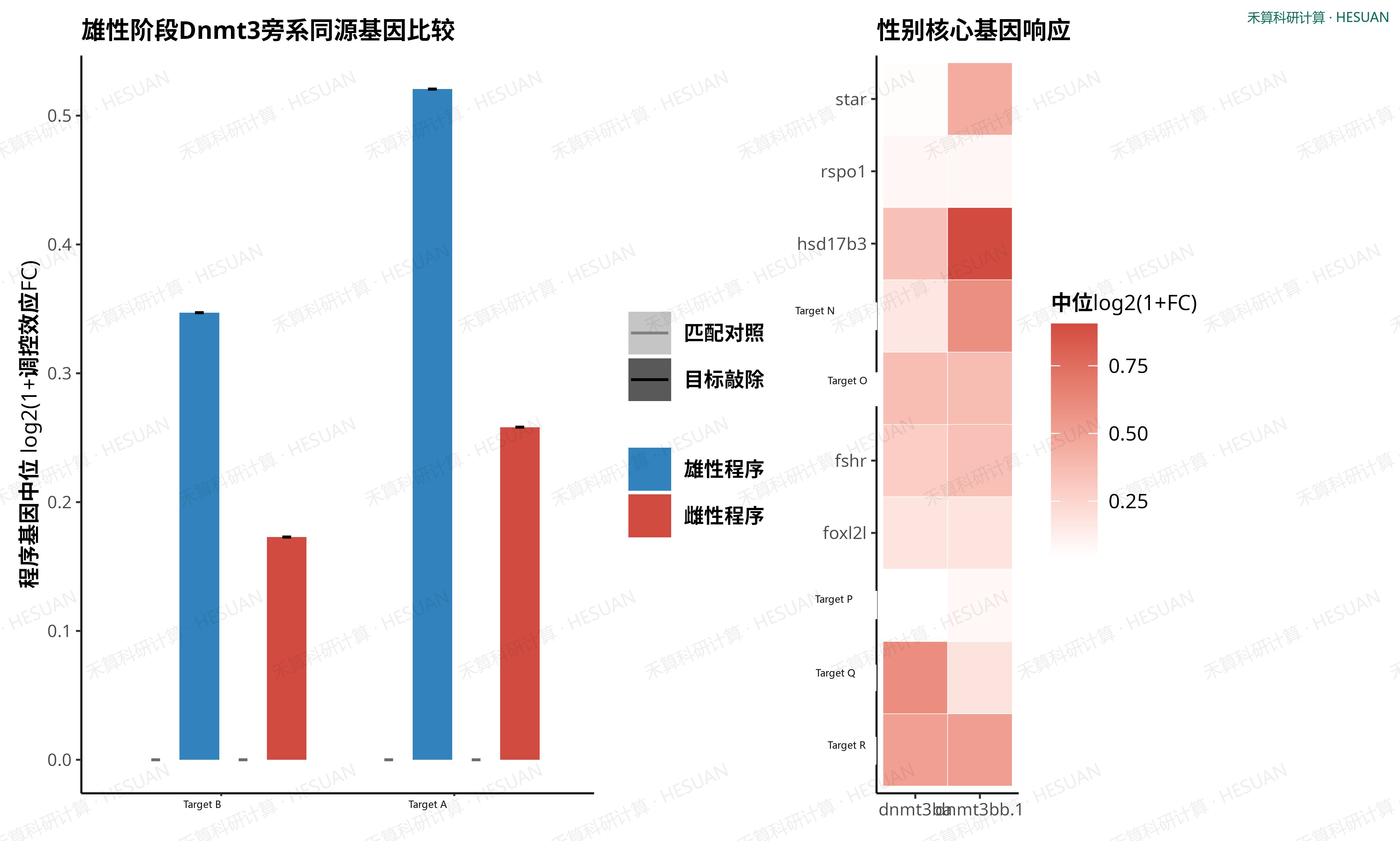 a,两个Dnmt3旁系同源基因对雌性和雄性程序的中位log2(1+调控效应FC)。b,核心性别基因的响应谱。效应FC表示流形空间距离相对于背景期望的倍数,而非表达倍数变化。
