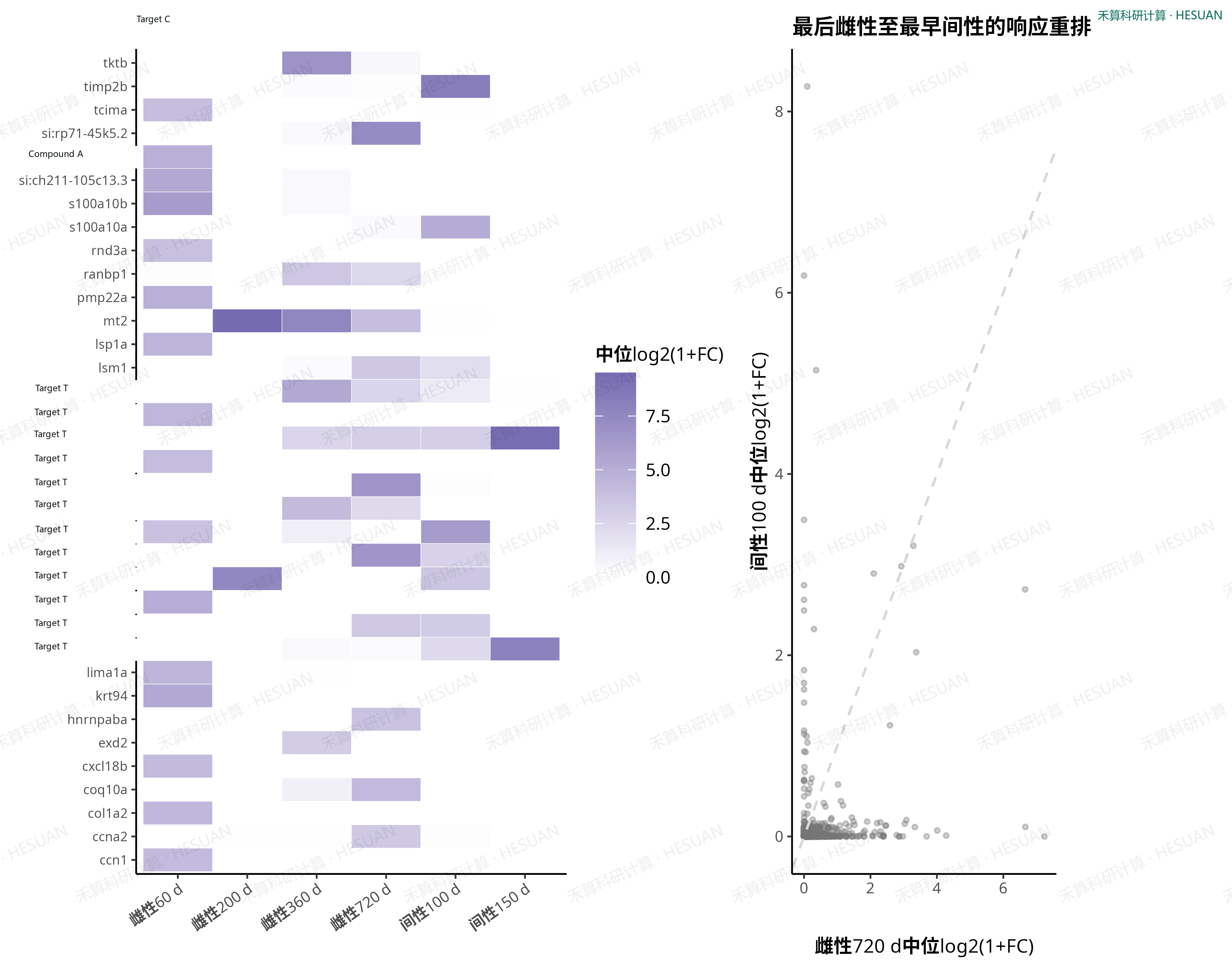 a,各阶段高响应基因的网络效应热图。b,最后雌性阶段与最早间性阶段的基因效应对应关系,用于识别转变期响应重排。