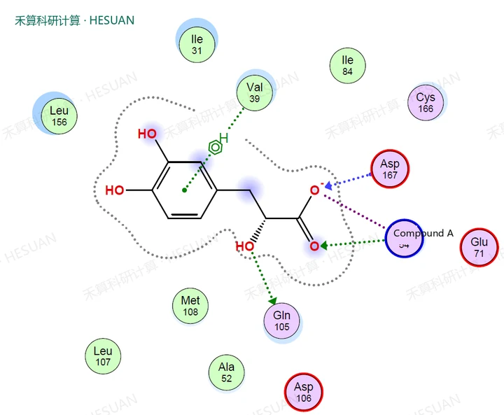 候选构象的界面接触