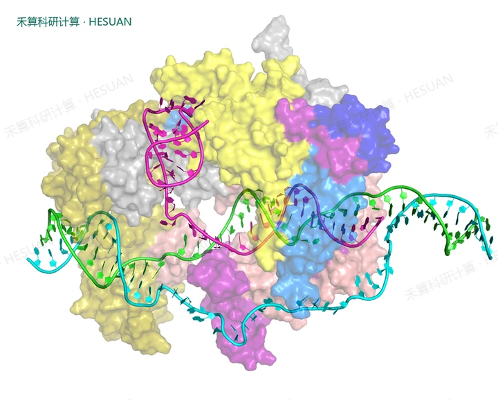 代表性结构构象